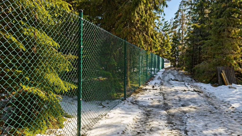 Koirametsän verkkoaita